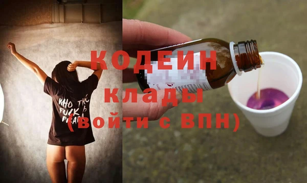 стаф Бородино