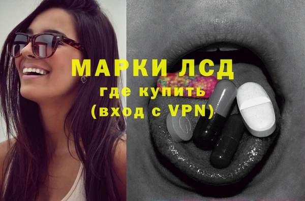 стаф Бородино