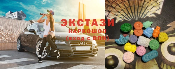 стаф Бородино