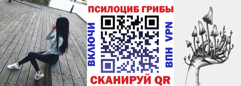 Псилоцибиновые грибы Magic Shrooms  Купить где  Подпорожье 